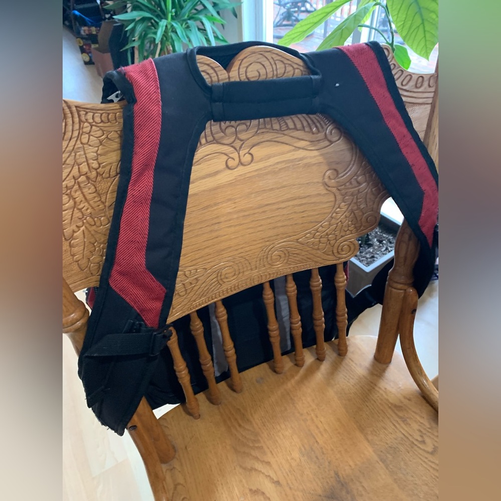 Ogio Backpack - image 2